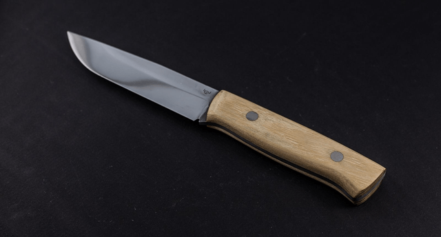 Couteau outdoor - manche acacia, lame carbone